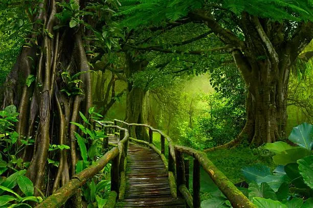15 Timeless Photos of the Natural World, timeless nature, forever beauty, nature, landscape, classic landscapes, eternal scenes