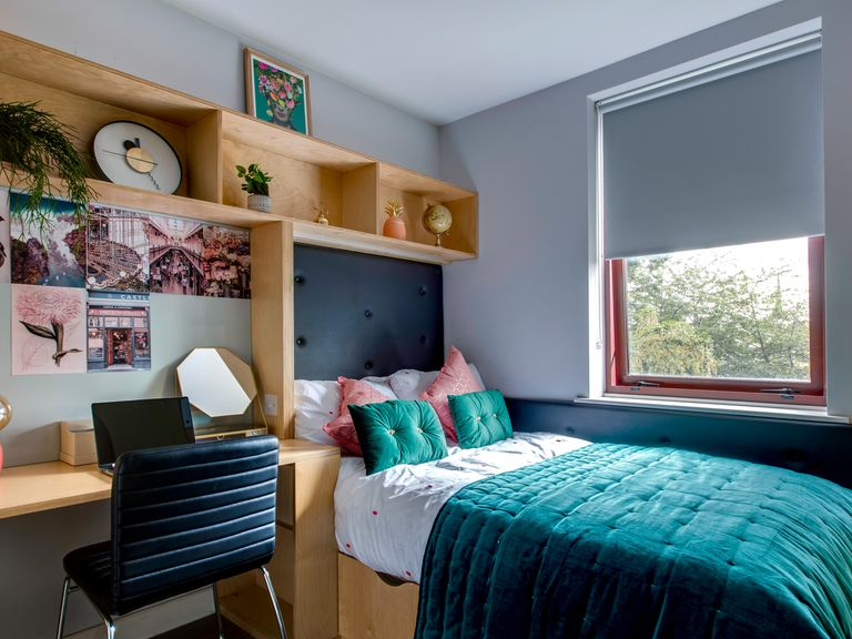 How To Find Cheap Student Accommodation in Ireland: Steps To Follow