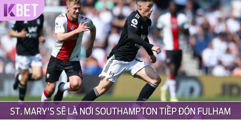 minh hoạ Southampton tiếp đón Fulham tại vòng 34