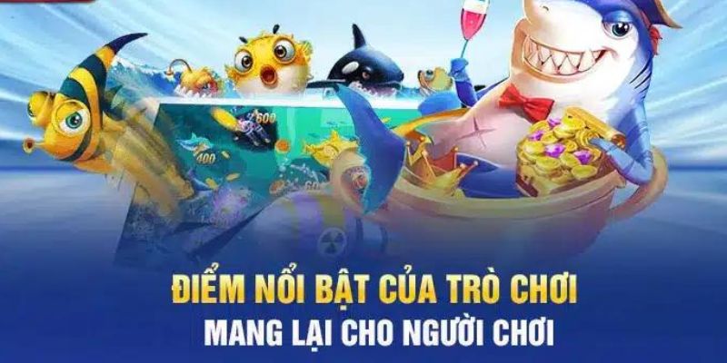 Lợi thế của trò chơi bắt cá là gì?