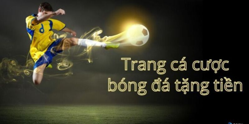 Top 5 Trang Cá Cược Bóng Đá Hàng Đầu, Uy Tín Nhất 2024-1