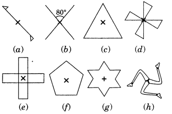 NCERT Solutions for Class 7 Maths Chapter 14 Symmetry Ex 14.2 2