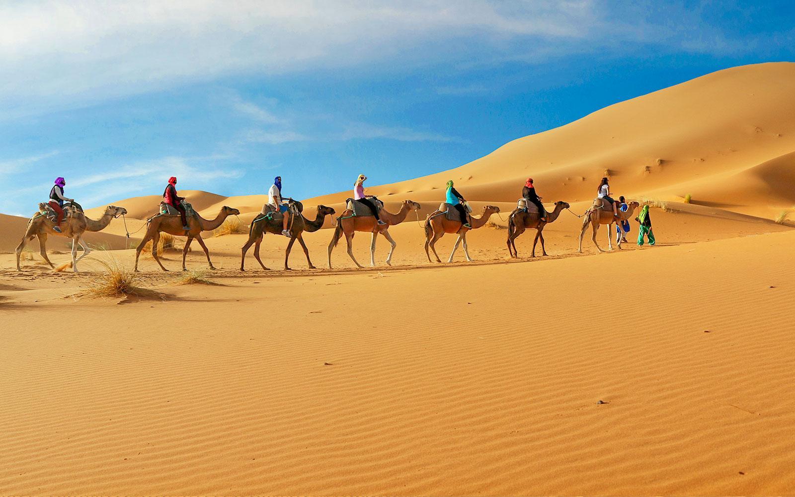 C:\Users\786\Desktop\1c6e3410363e7cb41cda1223bf4e04f6-18604-dubai-dune-bashing---sand-boarding-desert-safari-dubai-04.jpg