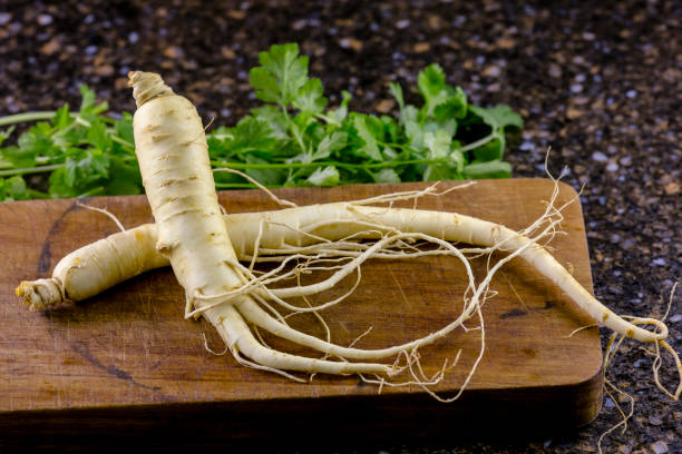 gingseng obat kuat