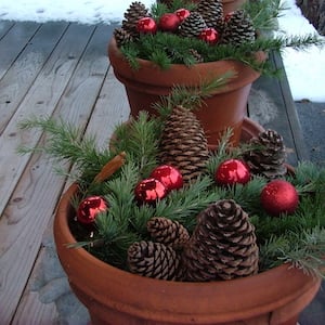 Terra Cotta Christmas Planter on the porch