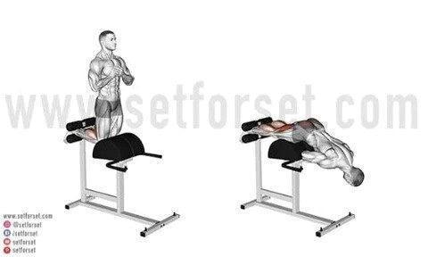 exercises for spinal erectors