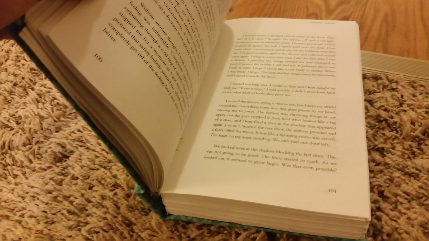 elowyn's analina's journal physical book inside shot