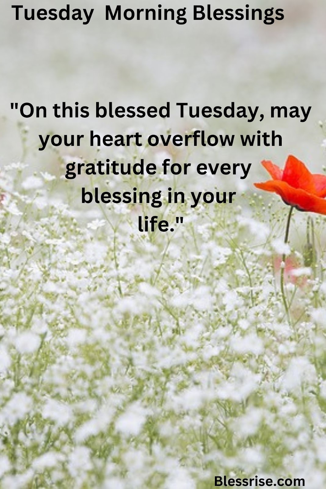 Tuesday prayer