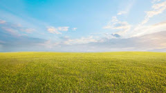 Beautiful Morning Sky with Empty Green Grass