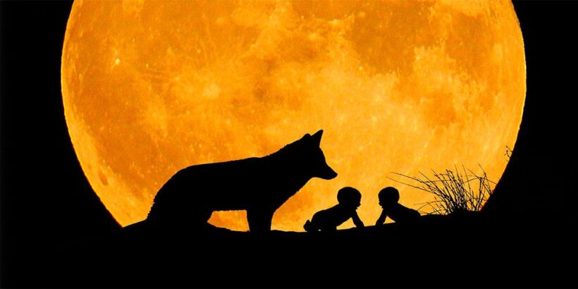 Rómulo y Remo, una leyenda romana para niños