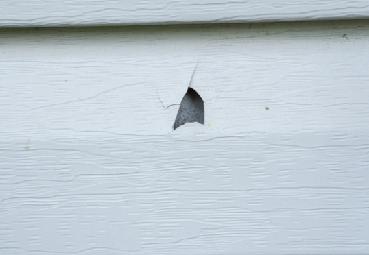 hail damage on Vinyl Siding