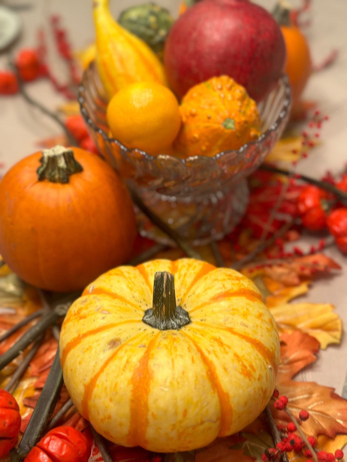 small pumpkins and other squashes on table