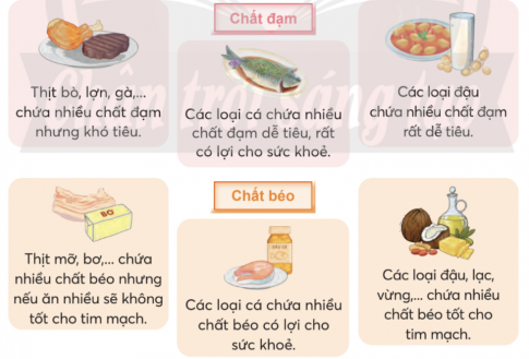 BÀI 25. ĂN, UỐNG KHOA HỌC ĐỂ CƠ THỂ KHỎE MẠNH