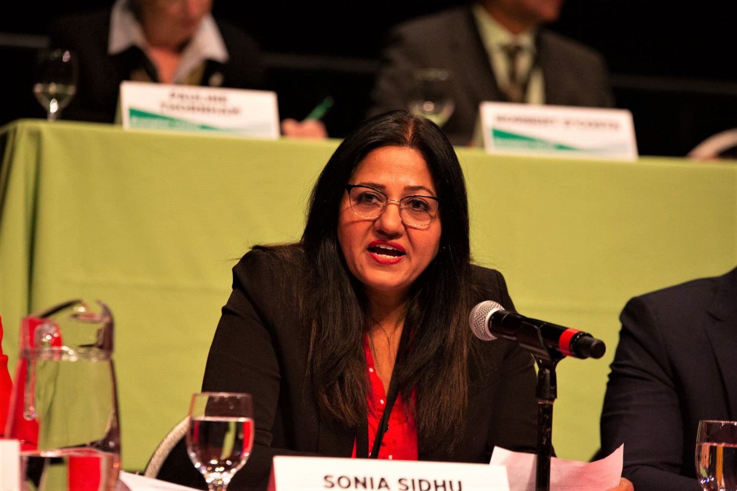 In the fight to make Brampton a healthier community, Sonia Sidhu offers a strong voice but little action