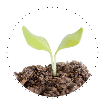 app_02_vegan