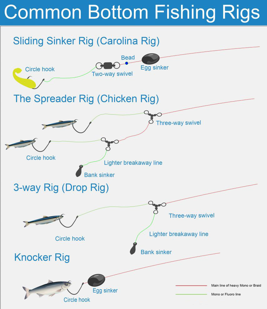 How to Rig for Bottom Fishing in Saltwater: Expert Tips