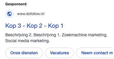 Koppen en beschrijvingen vastzetten in Google Ads: goed idee of niet?