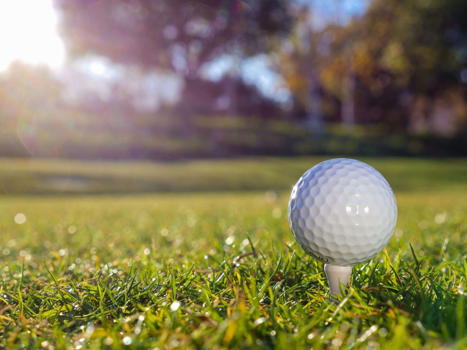 setting up a golf ball on tee 