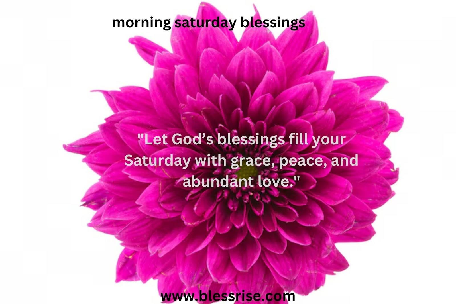 Saturday Blessings