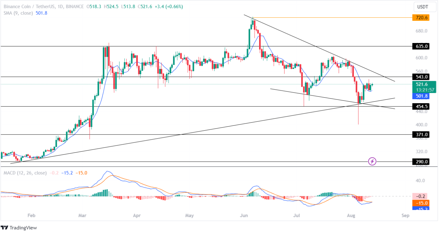 Dự đoán giá Binance (BNB): Kích hoạt sự đảo chiều lớn, hướng tới mức 635 USD?