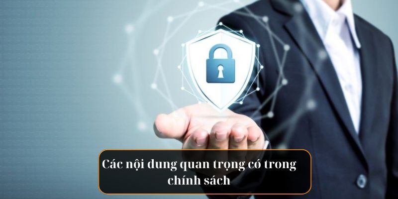 Một số các nội dung quan trọng có trong chính sách 