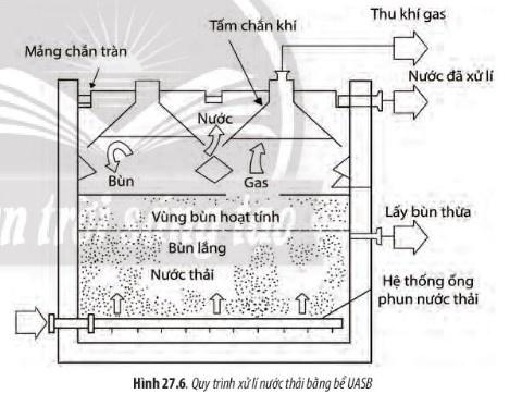 BÀI 27 - ỨNG DỤNG VI SINH VẬT TRONG THỰC TIỄNMỞ ĐẦUCâu 1: Để bảo quản rau, củ, quả dùng dần vào những tháng trái vụ hoặc khi thời tiết khắc nghiệt, người nông dân thường dùng biện pháp muối chua (lên men lactic). Vì sao khi muối chua, thực phẩm không bị các vi sinh vật khác phân hủy và có thể bảo quản được lâu hơn?Đáp án chuẩn:Khi muối chua, thực phẩm không bị các vi sinh vật khác phân hủy và có thể bảo quản được lâu hơn vì:- Ban đầu, tỷ lệ muối 5-6% trong dung dịch muối chua ức chế các vi sinh vật gây hư hỏng thực phẩm, nhưng vẫn đảm bảo cho các vi khuẩn lên men lactic hoạt động tốt.- Sau đó, khi các vi khuẩn lên men lactic hoạt động mạnh, sinh ra nhiều acid lactic, tạo môi trường có độ pH thấp, ức chế các vi sinh vật gây hư hỏng khác.I. CƠ SỞ KHOA HỌC CỦA VIỆC ỨNG DỤNG VI SINH VẬT TRONG THỰC TIỄNCâu 1: Hãy nêu các đặc điểm có lợi và gây hại của vi sinh vật đối với con người.Đáp án chuẩn: * Các đặc điểm có lợi:  - Ứng dụng chế biến và bảo quản thực phẩm  - Ứng dụng trong nông nghiệp  - Ứng dụng trong y học  - Ứng dụng xử lí ô nhiễm môi trường* Các điểm có hại:  - Có khả năng gây bệnh cho con ngườiCâu 2: Trình bày cơ sở khoa học của việc ứng dụng vi sinh vật trong thực tiễn.Đáp án chuẩn:Dựa vào các đặc điểm sinh trưởng, phát triển, sinh sản của vi sinh vật, con người đã khai thác, ứng dụng chúng và nhiễu lĩnh vực của đời sống nhằm tạo ra các sản phẩm có ích, an toàn và thân thiện với môi trường.II. MỘT SỐ ỨNG DỤNG VI SINH VẬT TRONG THỰC TIỄNCâu 3: Hãy tóm tắt một số ứng dụng của vi sinh vật trong đời sống (tên ứng dụng, cơ sở khoa học, loại vi sinh vật được sử dụng, vai trò trong đời sống,...)Đáp án chuẩn:Một số ứng dụng của vi sinh vật trong đời sống:Tên ứng dụngCơ sở khoa họcLoại vi sinh vậtVai trò trong đời sốngSản xuất phomatVi sinh vật có khả năng tiết ra enzyme để phân giải protein ở bên ngoài tế bàoLactococcus lactis và enzyme renninLàm thực phẩmSản xuất tươngVi sinh vật có khả năng tiết ra enzyme để phân giải carbonhydrat ở bên ngoài tế bàoNấm mốc aspergilus oryzaeLàm thực phẩmSản xuất chất kháng sinhVi sinh vật có khả năng tự tổng hợp các chất cần thiết bằng cách sử dung năng lượng và enzyme nội bàoXạ khuẩn chi Steptomyces và vi khuẩn chi Bacillus và nấm chi PenicilliumLàm thuốc chữa bệnhSản xuất thuốc trừ sâu sinh họcMột số vi sinh vật tạo ra chất gây độc hại cho côn trùngBacillus thuringiensis hoặc Beaauveria hoặc metarhiziumBảo vệ thực vậtXử lí nước thảiVi sinh vật có khả năng tiết ra các enzyme để tiết ra các chất ở bên ngoài tế bào.Vi khuẩn dị dưỡng hoại sinh và vi khuẩn nitrat hóaBảo vệ môi trườngCâu 4: Quan sát hình 27.3, hãy phân tích quy trình sản xuất penicilin. Đáp án chuẩn:1. Nhân giống và sản xuất: Chọn chủng vi khuẩn và môi trường nuôi cấy phù hợp.2. Lên men: Pha 1 là sinh trưởng từ khi cấy giống vào thùng lên men đến khi sinh khối ngừng tăng. Pha 2 là tổng hợp chất kháng sinh, cần môi trường đầy đủ dinh dưỡng và tiền chất để đạt năng suất cao.3. Tách chiết: Lọc tách sinh khối, trích ly bằng dung môi, hấp thụ bằng than hoạt tính, lọc loại than, kết tinh penicillin, lọc tinh thể, rửa và sấy khô.Câu 5: Quan sát Hình 27.4, hãy mô tả quá trình sản xuất thuốc trừ sâu Bt.Đáp án chuẩn:Chuẩn bị giống vi khuẩnNhân giống cấp 1trên máy lắcNhân giống cấp 2 trong nồi lên men 500 lít hoặc 5000 lítKích thích lên menLọc và li tâmThu sinh khốiThêm chất phụ gia hoặc sấy rồi thêm chất phụ giaĐóng chai bảo quản đối với dạng lỏng và đóng gói bảo quản dưới dạng chất rắn.Luyện tập:Kể tên các loại thuốc kháng sinh, thuốc trừ sâu được sản xuất từ vi sinh vật.Giải thích vì sao sữa chuyển từ trạng thái lỏng sang dạng đông đặc sau khi lên men.Đáp án chuẩn:- Một số loại thuốc kháng sinh và thuốc trừ sâu từ vi sinh vật: penicillin, tetracyclin, ampicillin, amoxicillin, cephalexin, erythromycin, azithromycin, clarithromycin, Firibiotox P, Firibiotox C (chế phẩm trừ sâu Bt), Ometar, Biovip (chế phẩm nấm trừ côn trùng), TriB1 (Trichoderma)...- Sữa chuyển từ lỏng sang đông đặc sau khi lên men: Vi khuẩn lactic làm acid lactic, giảm pH sữa, kết tụ protein thành đông đặc, đánh giá thành công của làm sữa chua.Câu 6: Quan sát Hình 27.5 và 27.6, hãy mô tả quá trình xử lí nước thải bằng phương pháp bùn hoạt tính và bể UASBĐáp án chuẩn:- Quá trình xử lí nước thải bằng phương pháp bùn hoạt tính Nước thải xử lí sơ cấp cho vào bể sục không khíNước qua bể lắng có chưa bùn hoạt tínhNước sạch được đưa ra ngoài và bùn hoạt tính  được đưa trở lại làm giống cùng nước thải sử lí sơ cấp. Bùn thừa được phân giải yếm khí- Quá trình xử lí nước thải bằng bể UASBNước được bơm vào bể qua hệ thống ống phun nước thảiNước thải được xử lý bằng bùn than hoạt tínhKhí thải được thu bằng tấm chắn khí.Nước thải đã được xử lí được đưa ra ngoài.Vận dụng: Hãy quan sát và mô tả lại một quá trình ứng dụng vi sinh vật trong đời sống ở địa phương ( muối chua rau, củ, quả; làm giấm; nấu rượu, làm tương,...)Đáp án chuẩn:Khu vực núi Ba Vì nuôi nhiều bò sữa và sản xuất sữa chua để đa dạng hóa các sản phẩm bán cho du khách.Quy trình làm sữa chua:1. Tiệt trùng dụng cụ làm sữa chua bằng nước sôi trong 2 - 3 phút.2. Pha hỗn hợp từ 380 ml sữa đặc có đường với 1000 ml nước sôi để có sữa ngọt uống được. Có thể dùng sữa tươi có đường đun nóng. Có thể thêm sữa tươi không đường và sữa nguyên liệu.3. Để nguội sữa khoảng 40°C, sau đó thêm men sữa chua và đổ vào hộp.4. Đậy kín và ủ trong thùng xốp chứa nước ấm 40°C khoảng 6 - 8 giờ.5. Kiểm tra sữa chua thành phẩm và bảo quản ở 2 - 8 độ C trong ngăn mát tủ lạnh.BÀI TẬP