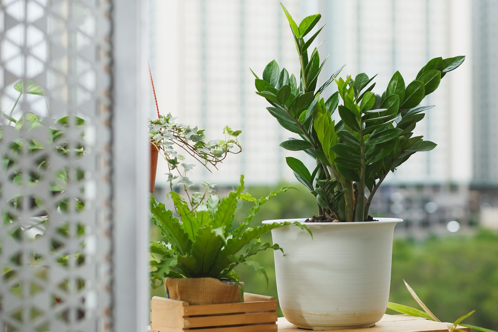 Tỷ Lệ Kèo Hôm Nay – Cập Nhật Chuẩn Từng Giây Tại Kèo Nhà Cái-2