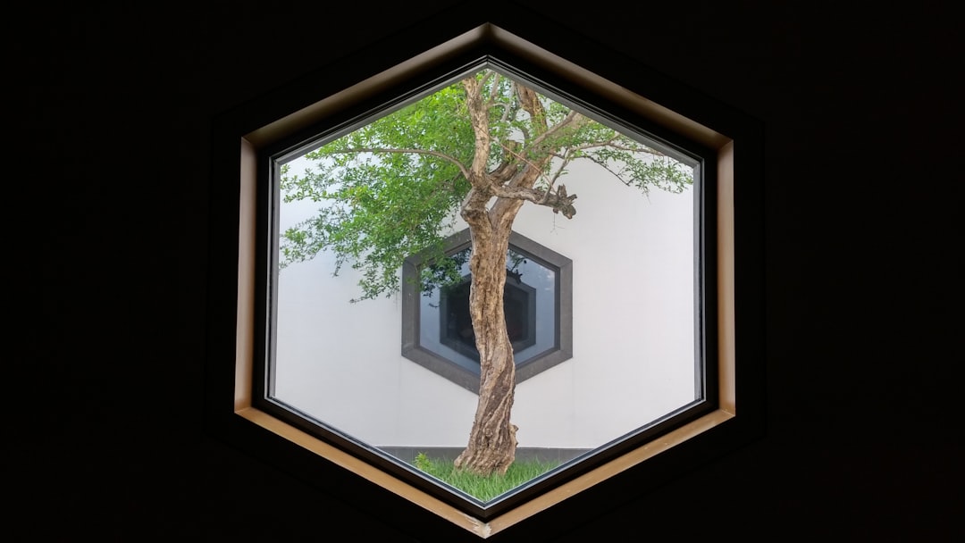 tree_maintenance_benefits