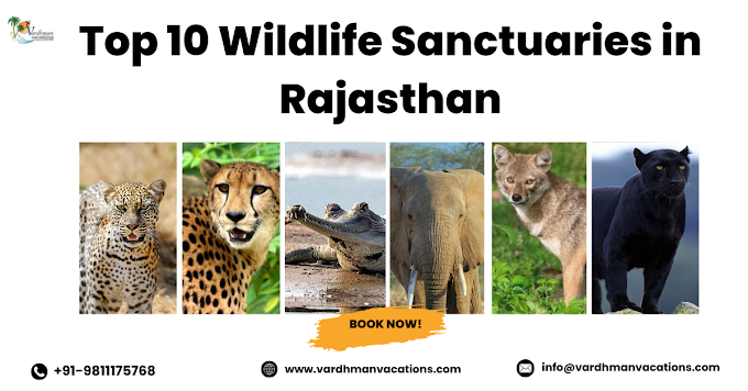 Top 10 Wildlife Sanctuaries in Rajasthan