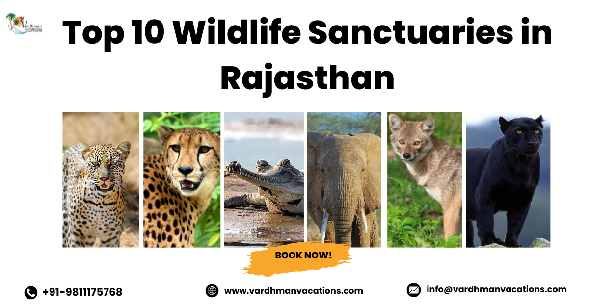 Rajasthan Wildlife Sanctuaries