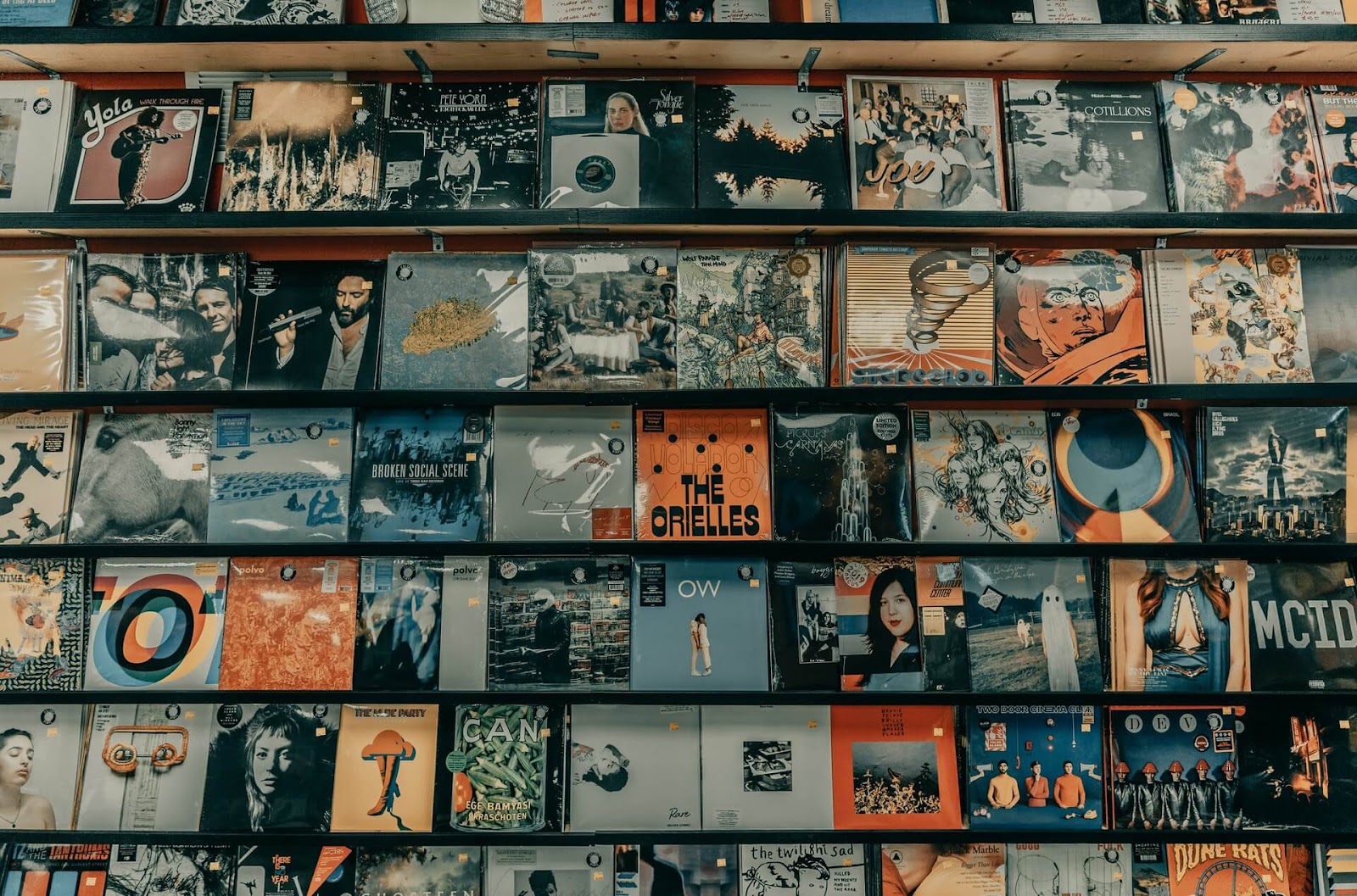 A display of famous and creative album covers at a record store, showcasing a variety of music genres.