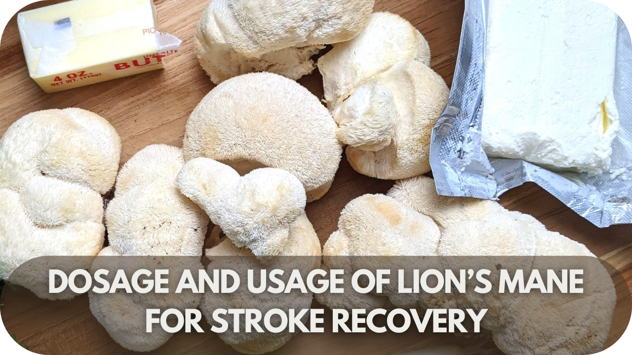 Optimal Lion’s Mane dosage for stroke recovery and brain health