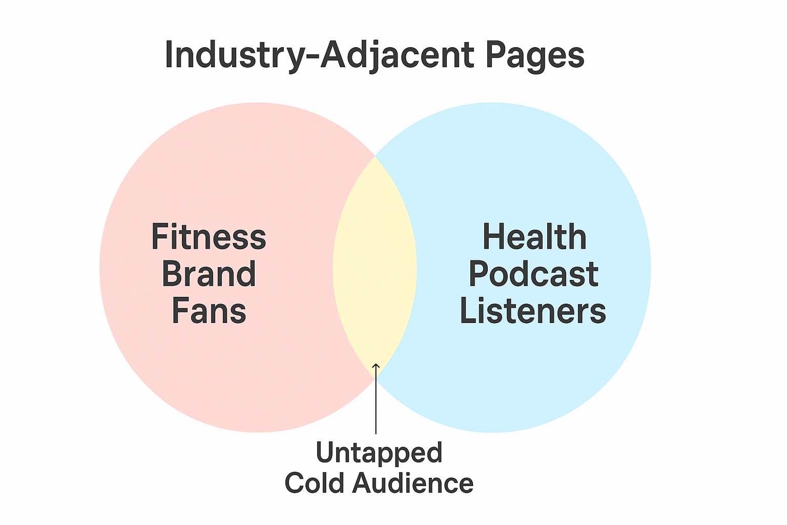 Venn diagram showing overlap between "Fitness Brand Fans" and "Health Podcast Listeners" with "Untapped Cold Audience" in the intersection