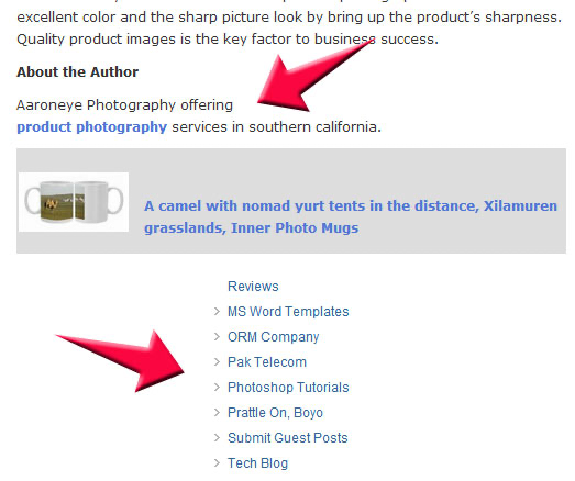 Screenshot example of sitewide links