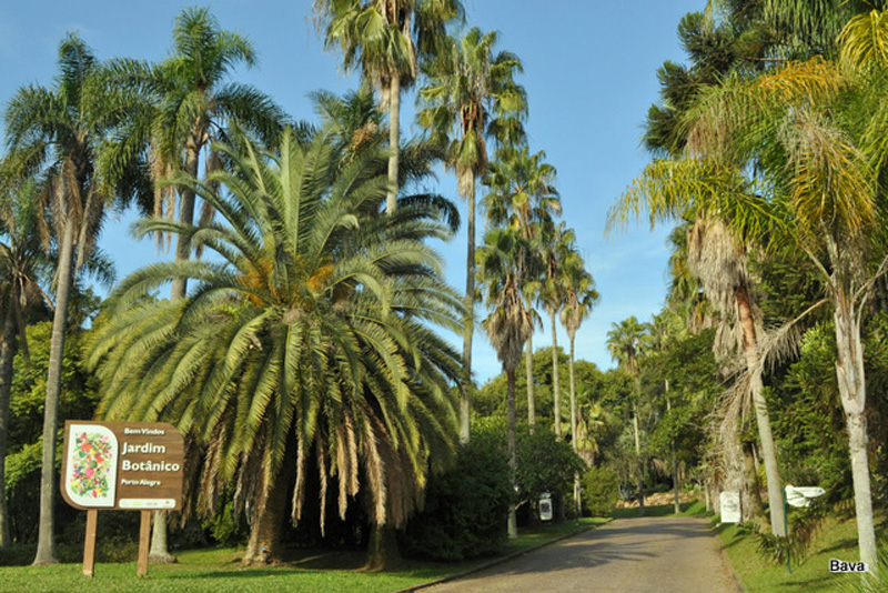 O que Fazer em Porto Alegre com Crianças: Jardim Botânico