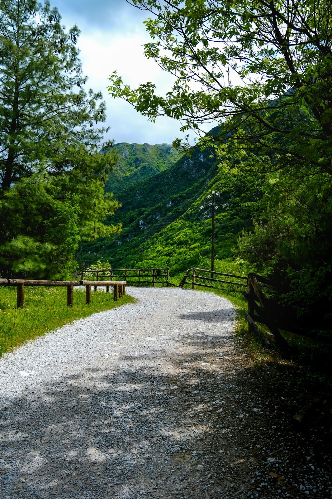 Gravel path curving through green forest with mountain view.