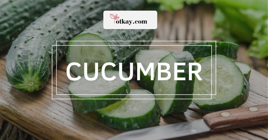 Cucumber
