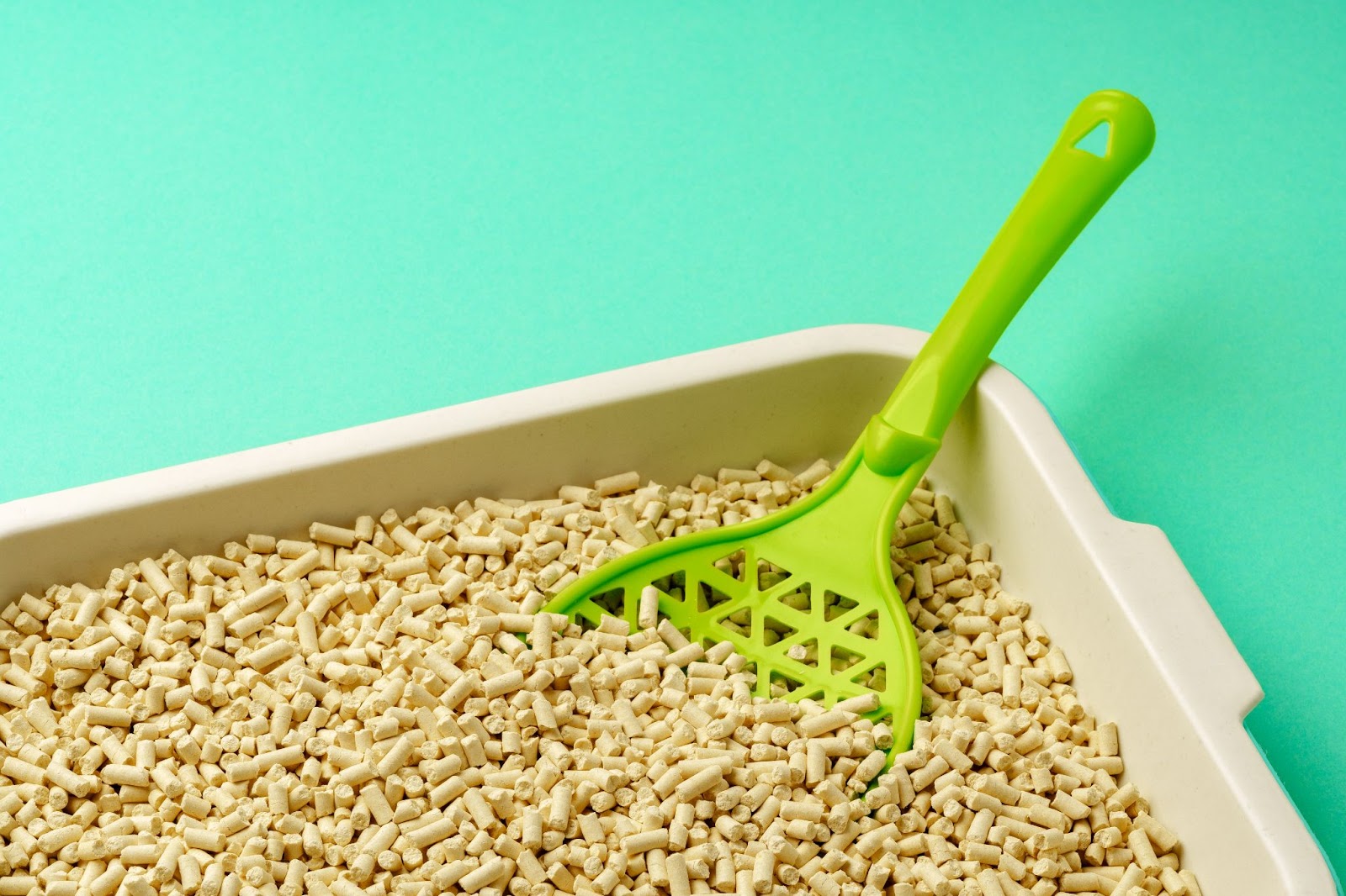 A litter box filled with eco-friendly litter pellets and a green scoop, highlighting an essential item in cat supplies for a new cat.