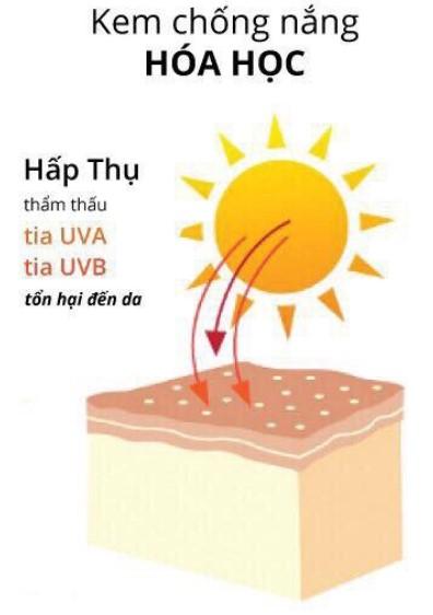 Nên sử dụng kem chống nắng hóa học chứa nhiều thành phần tốt cho da