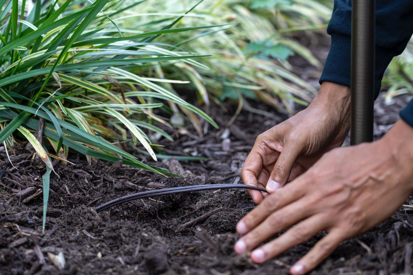 A person planting a plant

Description automatically generated