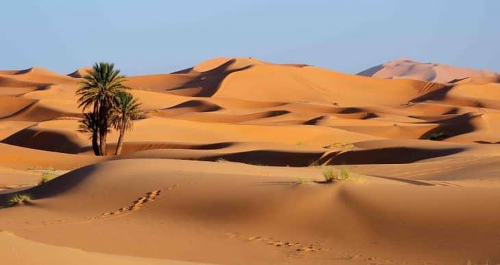 C:\Users\786\Desktop\Sahara-Desert-730x388.jpg