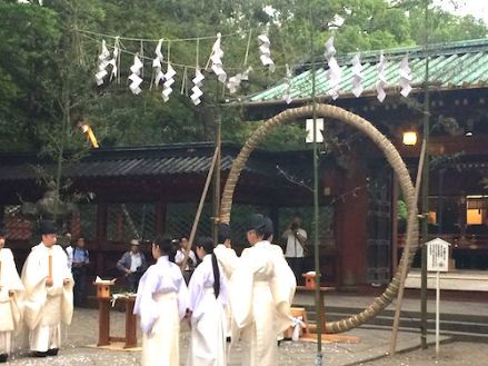 根津神社 大祓、芽の輪