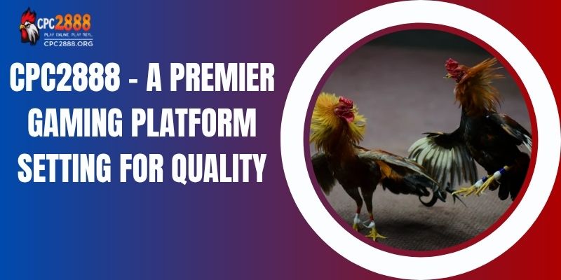 CPC2888 – A Premier Gaming Platform Setting For Quality