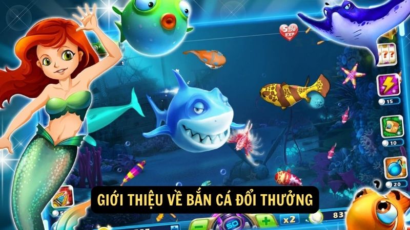 Giới thiệu về bắn cá đổi thưởng