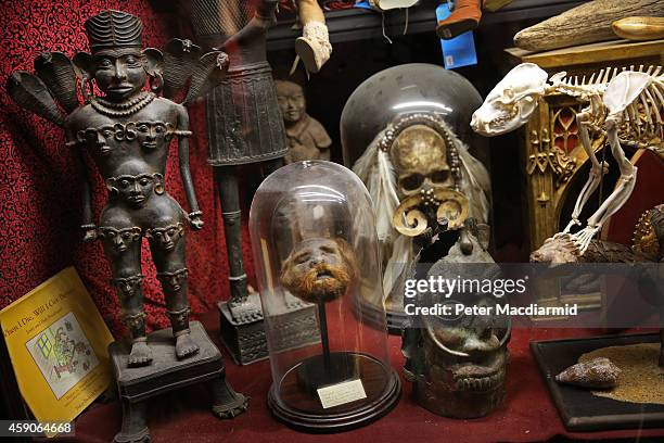 some items from the The Viktor Wynd Museum of Curiosities
