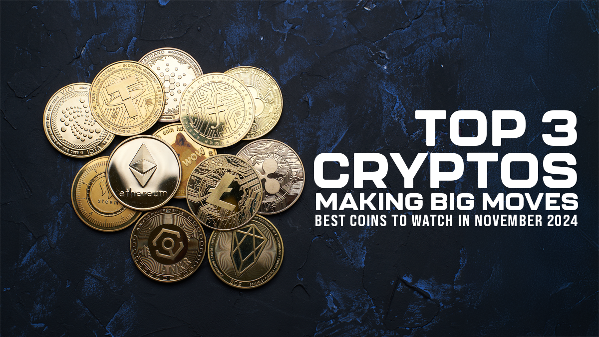 November 2024’s Most Promising Cryptos: 3 Cash That Might Lead the Subsequent Bull Run