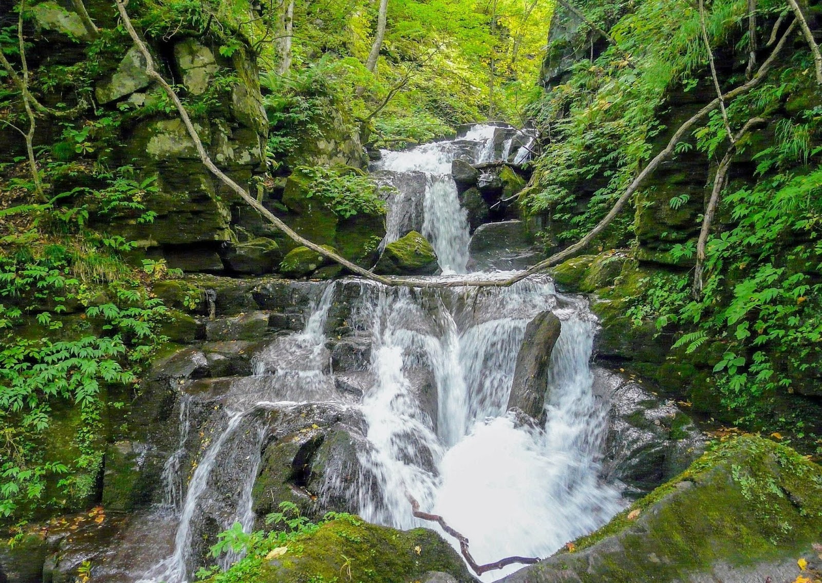 Oirase Gorge