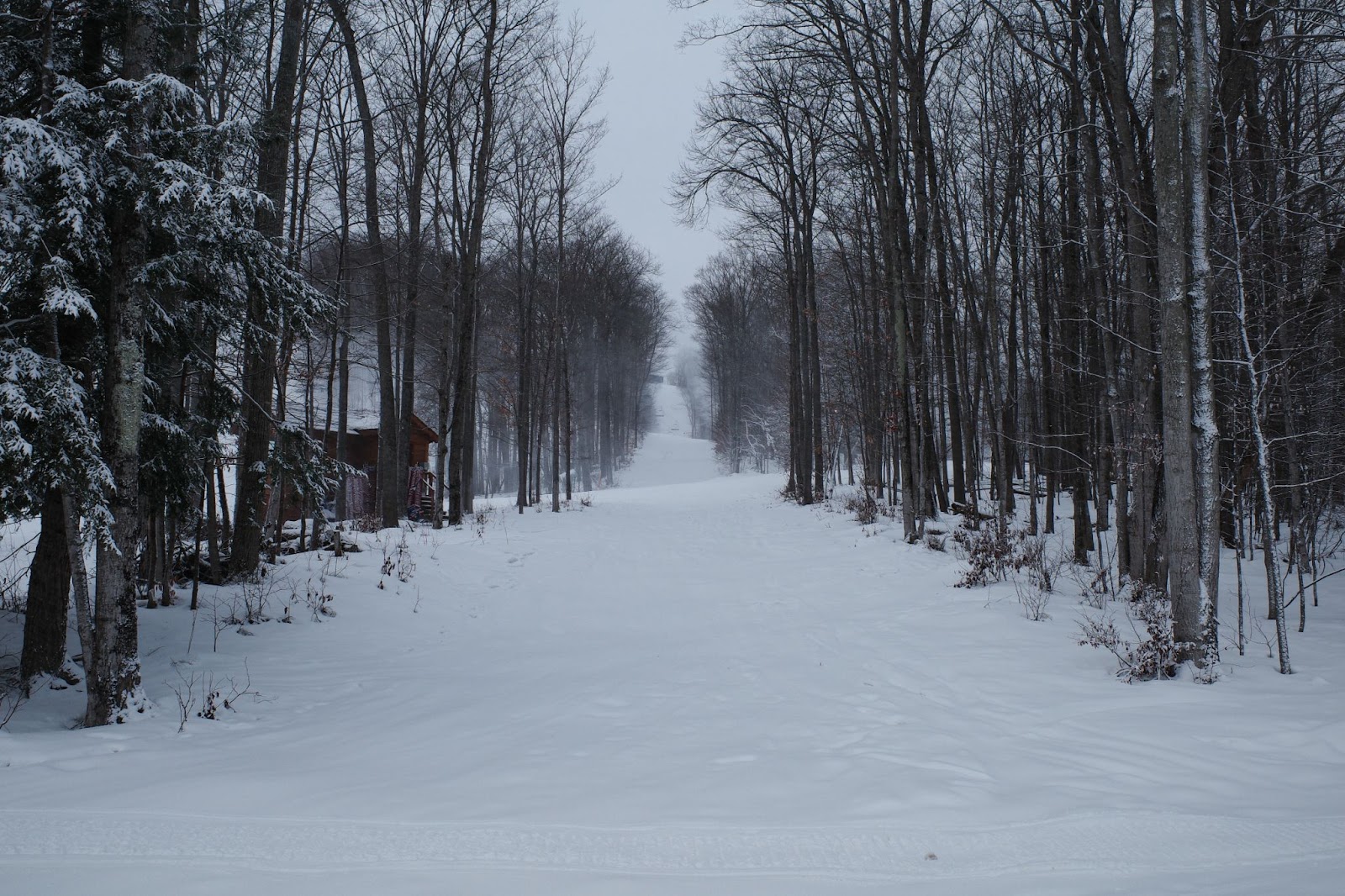 Snowy scene at ski resort