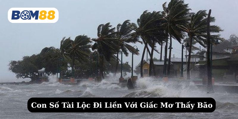 Khám phá những con số may mắn được gắn liền với giấc mơ về bão