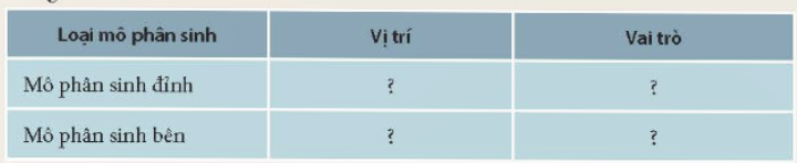 BÀI 36. KHÁI QUÁT VỀ SINH TRƯỞNG VÀ PHÁT TRIỂN Ở SINH VẬTMỞ ĐẦUCâu hỏi: Mỗi sinh vật từ khi hình thành, sinh ra và lớn lên đều trải qua quá trình sinh trưởng và phát triển. Vậy quá trình sinh trưởng và phát triển là gì? Các quá trình đó diễn ra như thế nào?Đáp án chuẩn:Quá trình sinh trưởng và phát triển là sinh vật có sự lớn lên và có nhiều sự thay đổi bên trong cơ thể và diễn ra trong suốt đời sống của sinh vật.I. SINH TRƯỞNG VÀ PHÁT TRIỂN Ở SINH VẬT1. Sinh trưởng, phát triển là gì?Câu 1: Phát biểu khái niệm sinh trưởng và phát triểnĐáp án chuẩn:- Sinh trưởng là sự tăng về kích thước và khối lượng của cơ thể do sự tăng lên về số lượng và kích thước tế bào, nhờ đó cơ thể lớn lên.- Phát triển bao gồm sinh trưởng, phân hóa tế bào, phát sinh hình thái cơ quan và cơ thể.Câu 2: Mô tả các dấu hiệu thể hiện sự sinh trưởng ở cây cam và con ếch. Những biến đổi nào diễn ra trong đời sống của chúng thể hiện sự phát triên?Đáp án chuẩn:- Ở cây cam: cây con → cây trưởng thành (hạt nảy mầm → cây con → cây trưởng thành, ra hoa kết quả → hạt và tiếp tục một vòng đời mới).- Ở con ếch: ếch con → ếch trưởng thành (trứng đã thụ tinh → ấu trùng và ếch trưởng thành → sinh sản → trứng ếch và tiếp tục một vòng đời mới).2. Các giai đoạn sinh trưởng và phát triển ở sinh vậtQuan sát Hình 36.1 và thực hiện các yêu cầu sau:Câu 1: Trình bày các giai đoạn sinh trưởng và phát triển của cây cam và con ếchĐáp án chuẩn:- Cây cam: Hạt nảy mầm → Cây con → Cây trưởng thành → Ra hoa, kết quả.- Con ếch: Trứng đã thụ tinh → Ấu trùng → Ếch trưởng thành.Câu 2: Sinh trưởng và phát triển của mối quan hệ với nhau như thế nào?Đáp án chuẩn:Có mối quan hệ chặt chẽ với nhau, không tách rời. Sinh trưởng giúp cơ thể lớn lên đến giai đoạn phát triển.II. MÔ PHÂN SINH VÀ CHỨC NĂNG CỦA MÔ PHÂN SINH